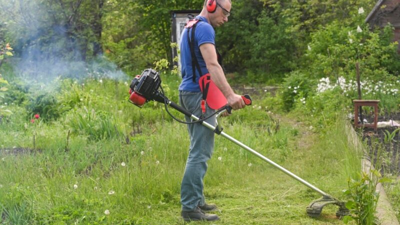 Choisir l’essence adéquate pour votre rotofil thermique